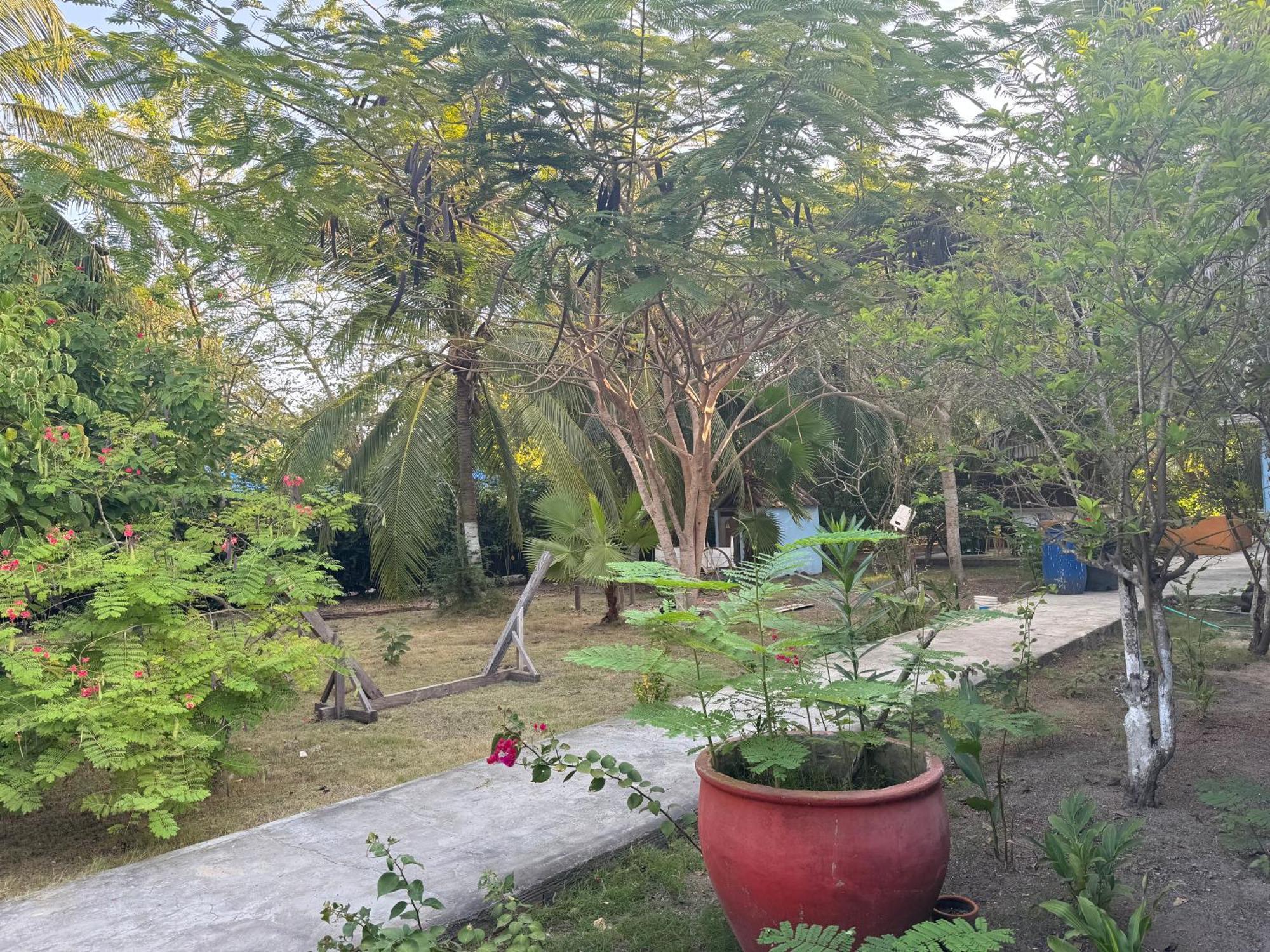 Casa Lolas House By Ctglifetravelers Isla Grande  Esterno foto
